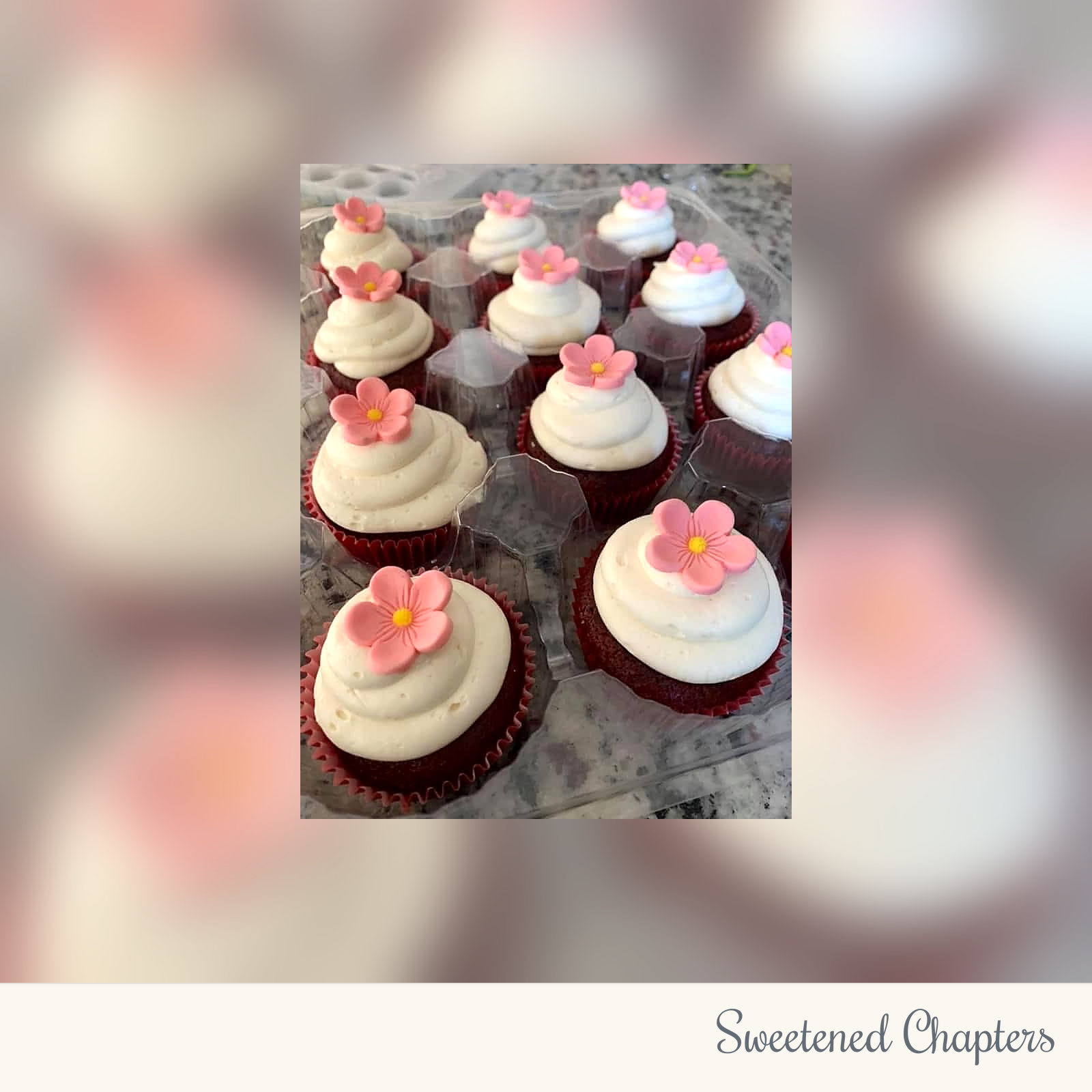 Cupcakes made by Sweetened Chapters